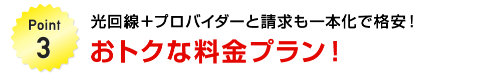 Point3　光回線＋プロバイダーと請求も一本化で格安！おトクな料金プラン！